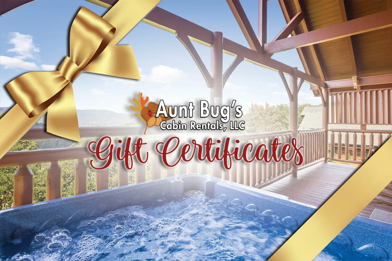 auntbugs-gift-cert