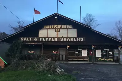 Salt and Pepper Shakers Museum 