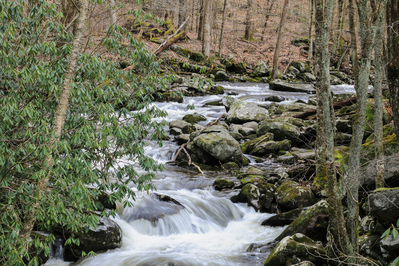 river on upper tremont road