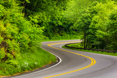 newfound gap road