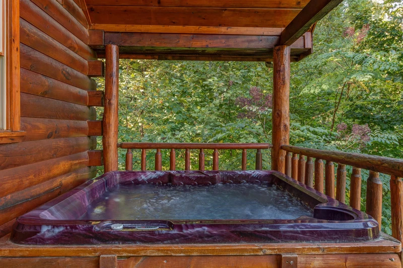 Property image, Exterior, of Lincoln Logs #2912
