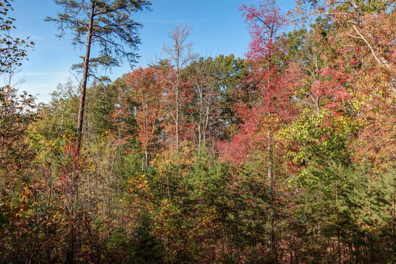 Property image, Exterior, of Lincoln Logs #2912