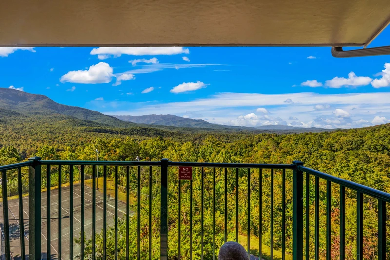 Mountain Top View