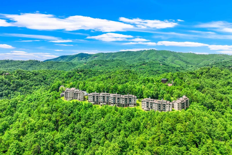 Mountain Breeze Retr
