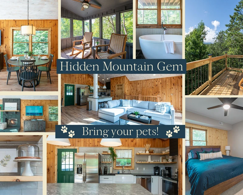Hidden Mountain Gem. The perfect spot for your (and your pups) next getaway!