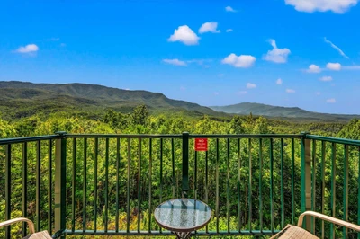 Can't Bear To Leave