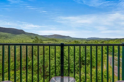 Timberline Terrace