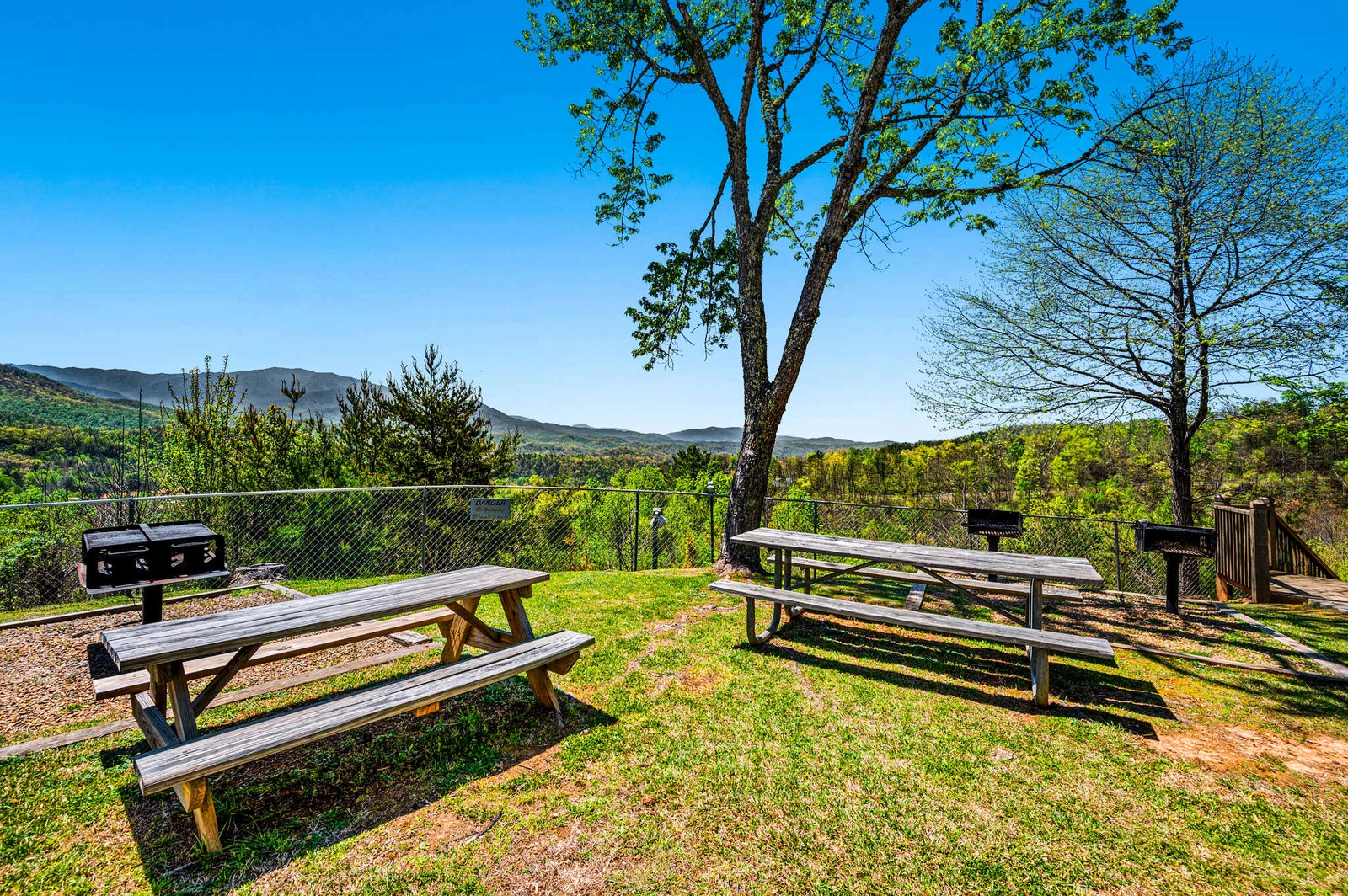 Timberline Terrace