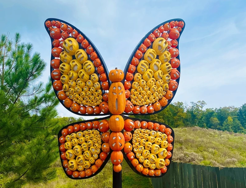 dollywood harvest festival
