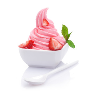 frozen yogurt rental