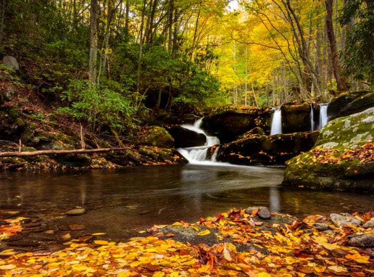 Top 6 Places to See the Smoky Mountains Fall Colors